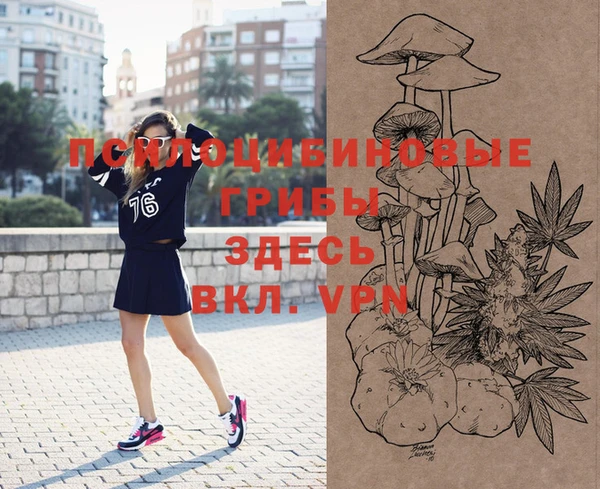 мдпв Балахна